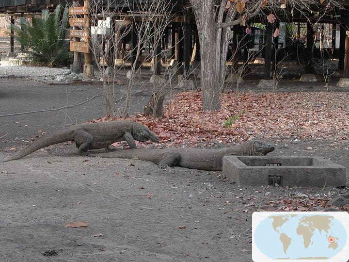 コモド国立公園