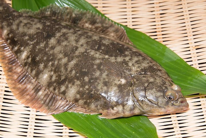 カレイ